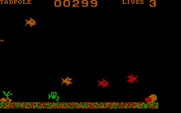 Evolution for IBM PC/Compatibles - You need to avoid the fish as a tadpole.