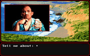 Mean Streets for IBM PC/Compatibles - What should I ask about?