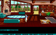 Mean Streets for IBM PC/Compatibles - Breaking into someone's mountain cabin...