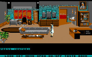 Mean Streets for IBM PC/Compatibles - Anything useful in this appartment?