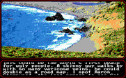 Mean Streets for IBM PC/Compatibles - Heading to the beach...