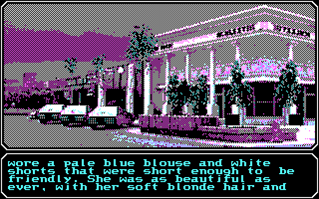 Mean Streets IBM PC/Compatibles Screenshot: Each location begins with a description along the bottom of the screen.