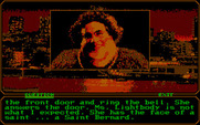 Mean Streets for IBM PC/Compatibles - Introducing Delores Lightbody.