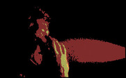 Mean Streets for IBM PC/Compatibles - Tex has mace sprayed in his face!