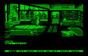 Mean Streets for IBM PC/Compatibles - What can I find here? Better search carefully...
