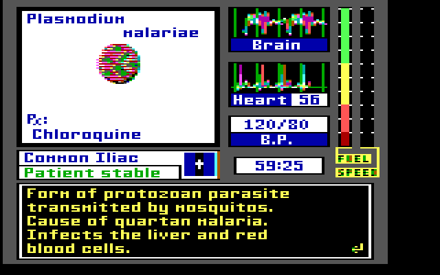 Laser Surgeon: The Microscopic Mission IBM PC/Compatibles Screenshot: Some details about a disease...