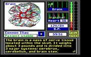 Laser Surgeon: The Microscopic Mission for IBM PC/Compatibles - About the brain.