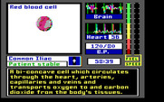 Laser Surgeon: The Microscopic Mission for IBM PC/Compatibles - About red blood cells...