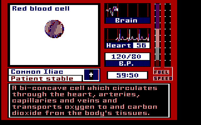 Laser Surgeon: The Microscopic Mission IBM PC/Compatibles Screenshot: About red blood cells....