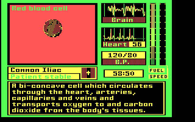 Laser Surgeon: The Microscopic Mission IBM PC/Compatibles Screenshot: About red blood cells...
