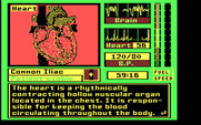 Laser Surgeon: The Microscopic Mission for IBM PC/Compatibles - More information on the heart...