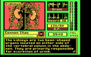 Laser Surgeon: The Microscopic Mission for IBM PC/Compatibles - The kidneys...