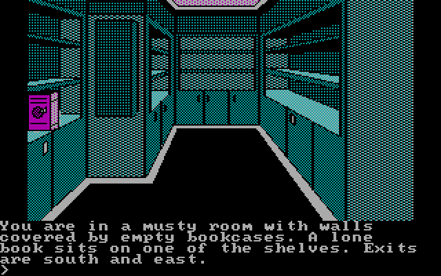 Oo-Topos IBM PC/Compatibles Screenshot: A lone book remains.
