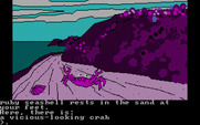 Oo-Topos for IBM PC/Compatibles - Now a crab is in the way!