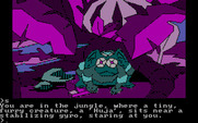 Oo-Topos for IBM PC/Compatibles - A 'Huja'? What's that?
