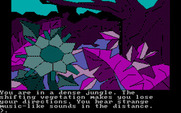 Oo-Topos for IBM PC/Compatibles - Exploring a jungle.