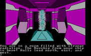 Oo-Topos for IBM PC/Compatibles - The radiation room.