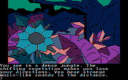 Oo-Topos for IBM PC/Compatibles - Lost in the jungle...