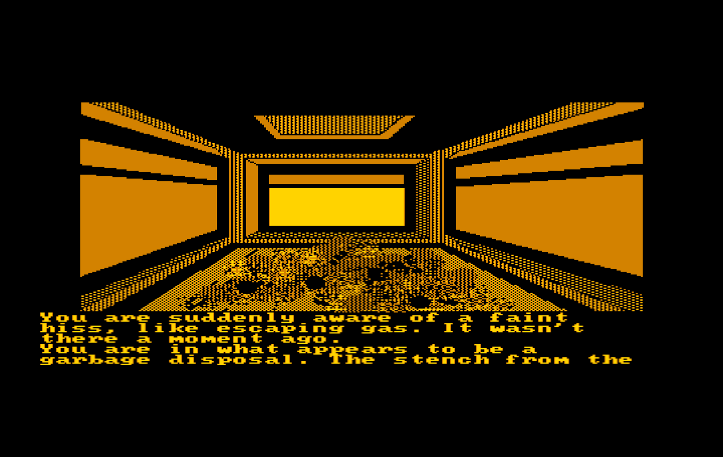 Oo-Topos IBM PC/Compatibles Screenshot: Wonderful, I found a garbage room...