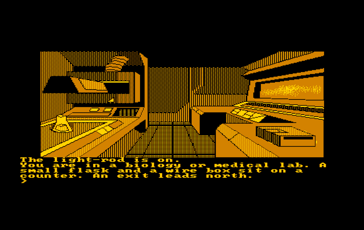 Oo-Topos IBM PC/Compatibles Screenshot: A flask! I should take that...