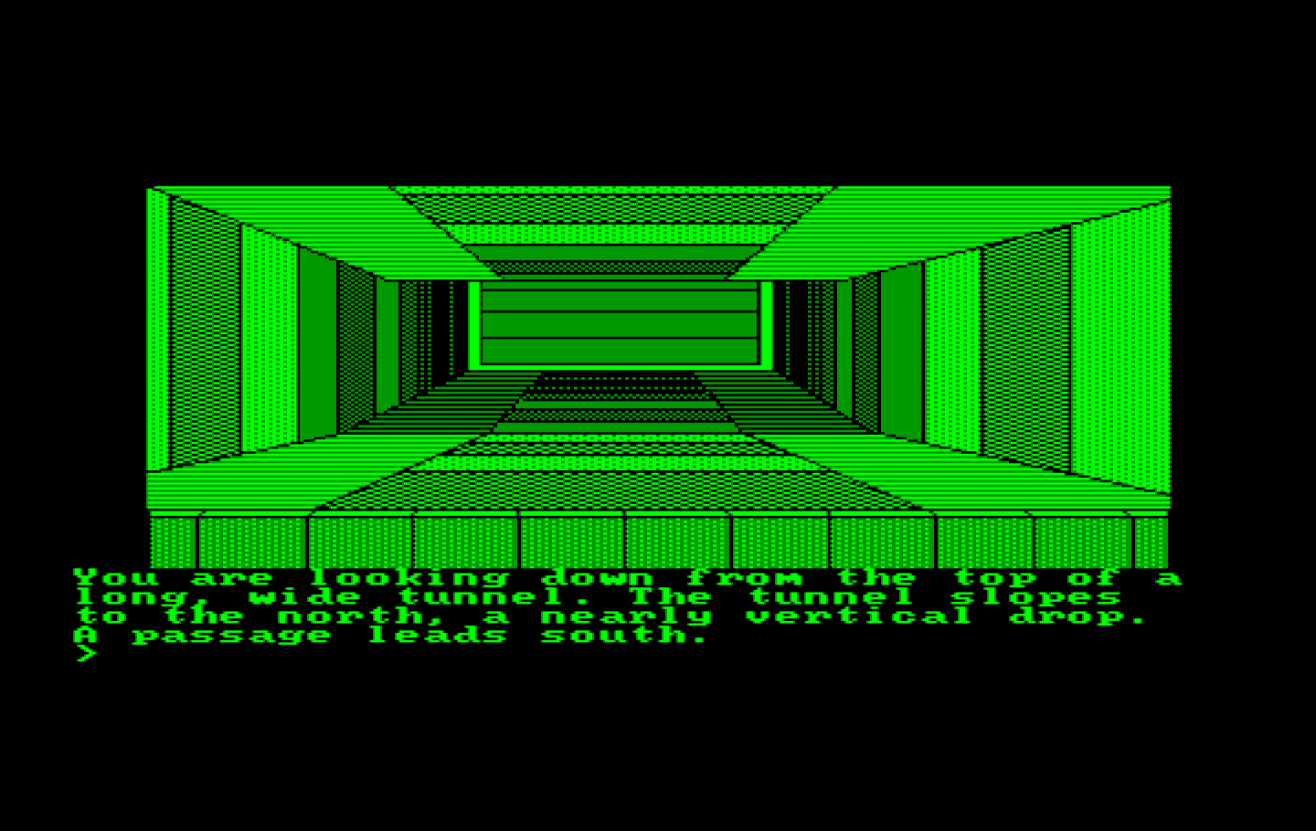 Oo-Topos IBM PC/Compatibles Screenshot: The top of a long tunnel...