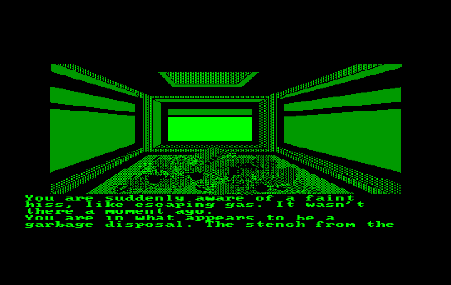 Oo-Topos IBM PC/Compatibles Screenshot: Wonderful, I found a garbage room...