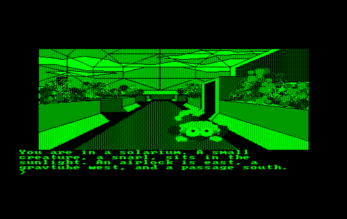 Oo-Topos IBM PC/Compatibles Screenshot: Welcome to the solarium!