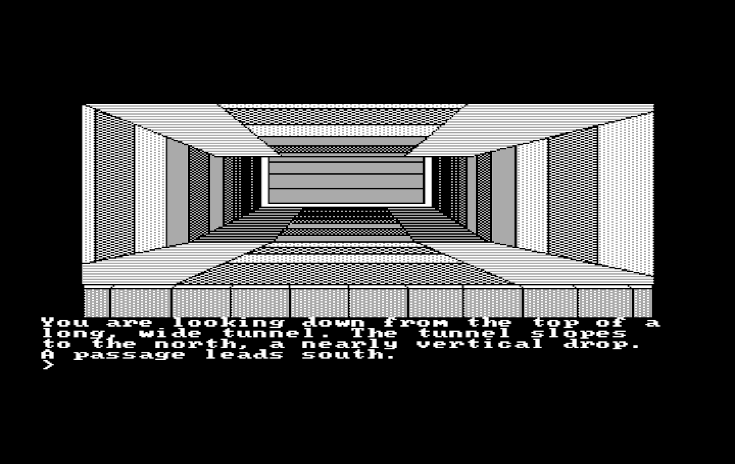 Oo-Topos IBM PC/Compatibles Screenshot: The top of a long tunnel...