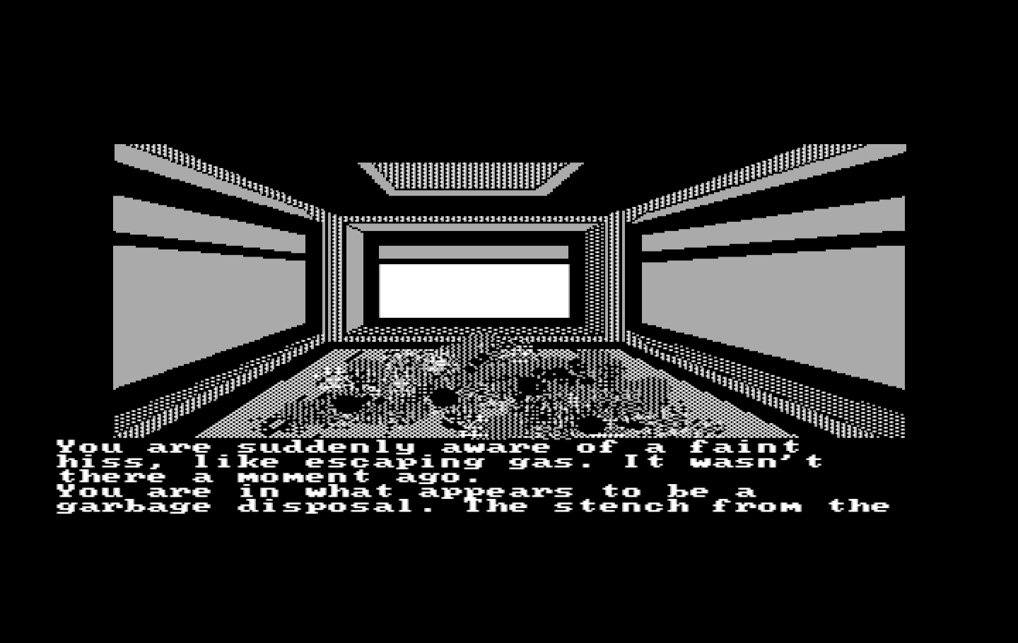 Oo-Topos IBM PC/Compatibles Screenshot: Wonderful, I found a garbage room...