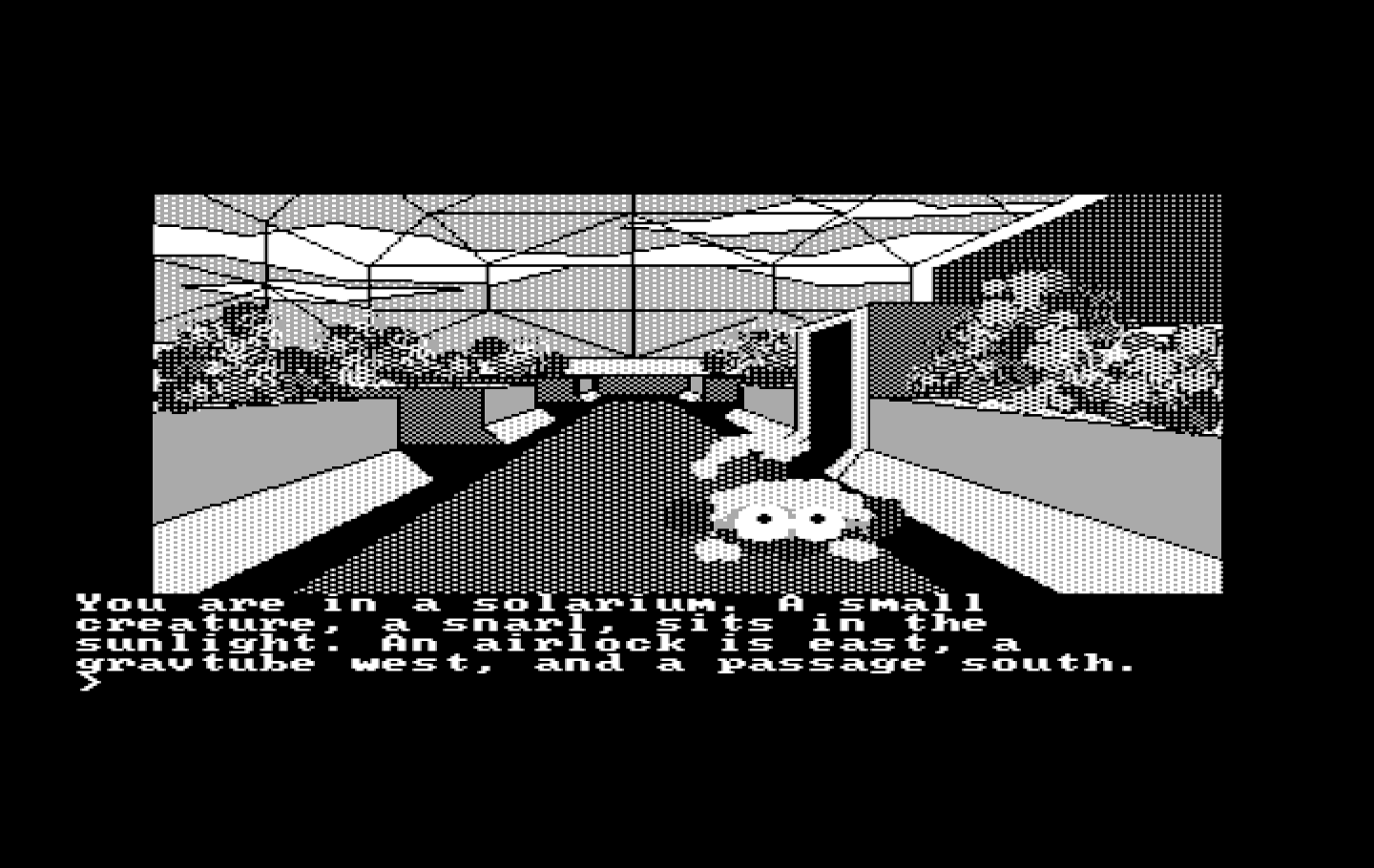 Oo-Topos IBM PC/Compatibles Screenshot: Welcome to the solarium!