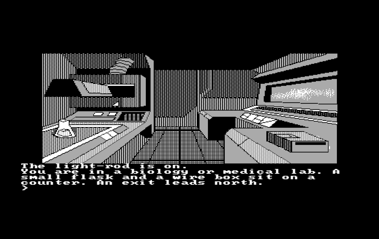 Oo-Topos IBM PC/Compatibles Screenshot: A flask! I should take that...