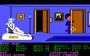 Maniac Mansion for IBM PC/Compatibles - Yet another hallway in the mansion...