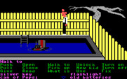 Maniac Mansion for IBM PC/Compatibles - A radio floats in the pool...how can I reach it?