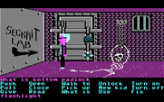 Maniac Mansion for IBM PC/Compatibles - Trapped in the dungeon...for now.
