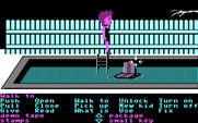 Maniac Mansion for IBM PC/Compatibles - How can I reach that radio floating in the pool?