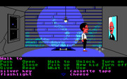 Maniac Mansion for IBM PC/Compatibles - This room is rather empty except for this suspect painting...