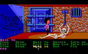 Maniac Mansion for IBM PC/Compatibles - Locked in the dungeon.