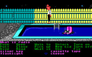 Maniac Mansion for IBM PC/Compatibles - The pool...how can I reach that radio floating in the middle?