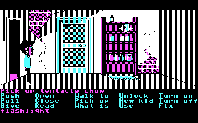 Maniac Mansion IBM PC/Compatibles Screenshot: Some stuff on a shelf; some of it will useful later...