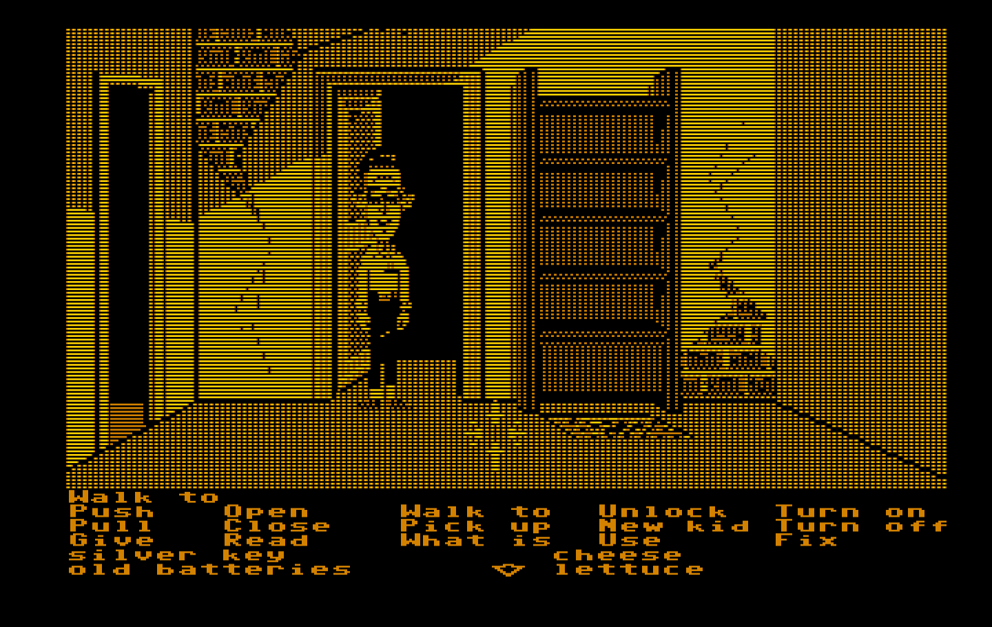Maniac Mansion IBM PC/Compatibles Screenshot: I already took everything off of the shelves here...