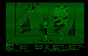 Maniac Mansion for IBM PC/Compatibles - The ladder leads to this non-descript room.