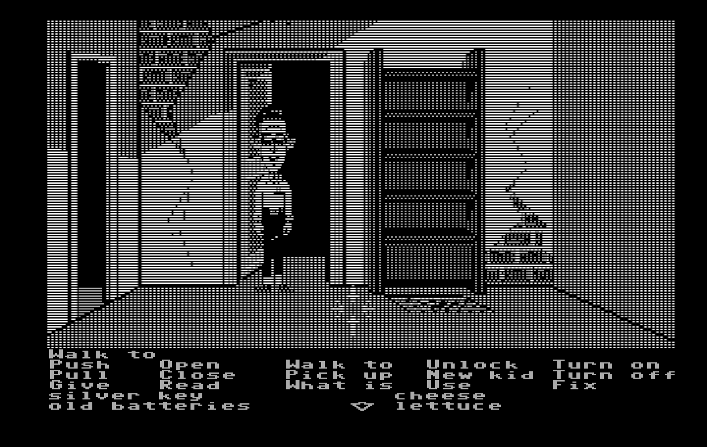 Maniac Mansion IBM PC/Compatibles Screenshot: I already took everything off of the shelves here...