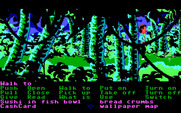 Zak McKracken and the Alien Mindbenders for IBM PC/Compatibles - Lost in the jungle...this place is a maze!