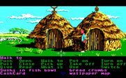 Zak McKracken and the Alien Mindbenders for IBM PC/Compatibles - I've found an old village...