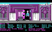 Zak McKracken and the Alien Mindbenders for IBM PC/Compatibles - Don't upset the guards...