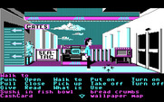 Zak McKracken and the Alien Mindbenders for IBM PC/Compatibles - At one of the airports.
