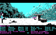 Zak McKracken and the Alien Mindbenders for IBM PC/Compatibles - In peru.