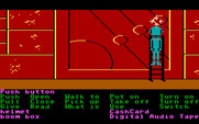 Zak McKracken and the Alien Mindbenders for IBM PC/Compatibles - The entrance to the Mars pyramid.