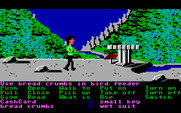 Zak McKracken and the Alien Mindbenders for IBM PC/Compatibles - Time to fly around as a bird...