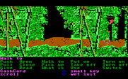 Zak McKracken and the Alien Mindbenders for IBM PC/Compatibles - Yet another jungle maze...